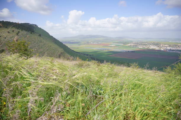 istock Marvellous View From Gilboa Mountain at Springtime, Israel 1330375198