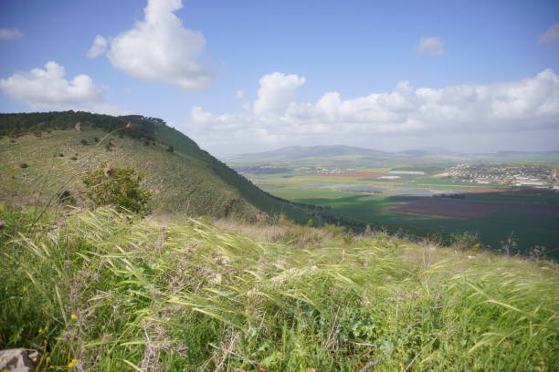 istock Marvellous View From Gilboa Mountain at Springtime, Israel 1330375359