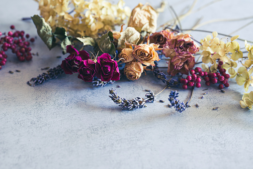 Dried flowers, flowers, backgrounds, retro, antiques