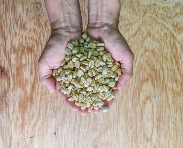 istock Colombian coffee presented in human hands 1330377642