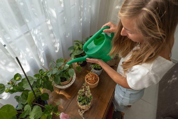 istock Young woman watering plants at home 1330378048