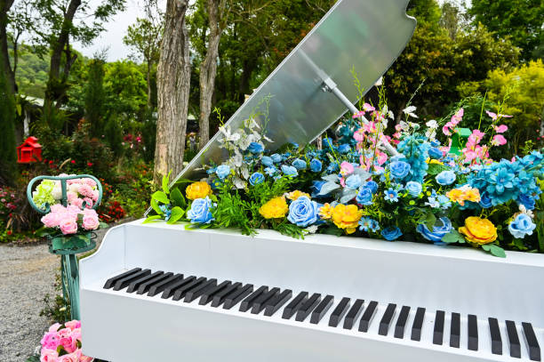istock Artificial flower decoration on white piano. 1330379042