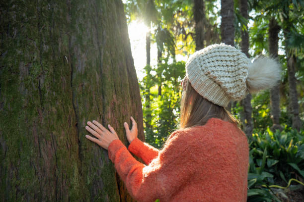 istock Woman touching large tree trunk, sunlight 1330386117