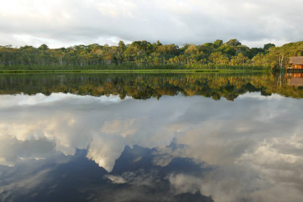 istock Orellana province, Ecuador 1330388185