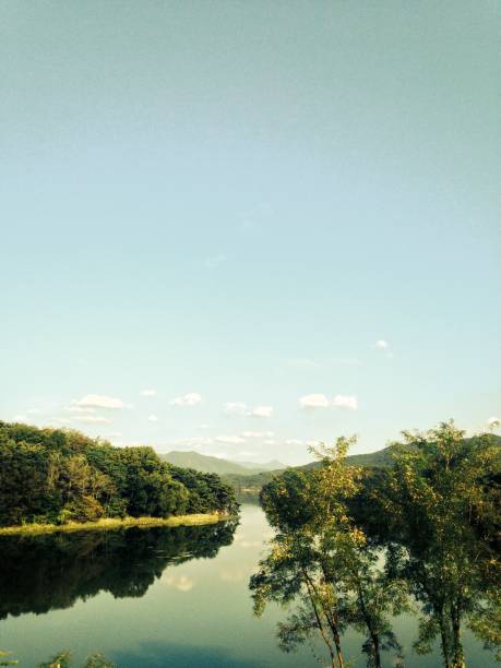 River and woods in korean local city
