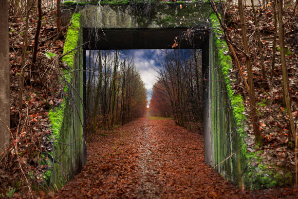 istock Bridge in front of a cozy forest path 1330391753