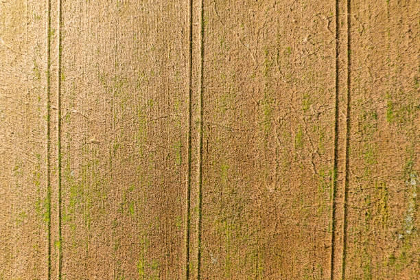 istock The drone view looking directly down onto a crop 1330396394