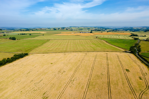 The aerial view from a drone of fields in rural Scotland on a bright summer morning