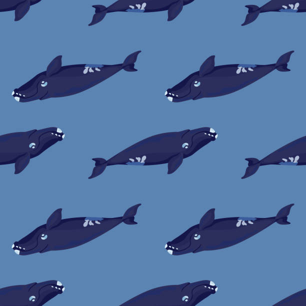 istock Seamless pattern right whale on blue background. Template of cartoon character of ocean for fabric. 1330396605