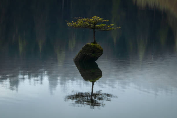istock Ripples On Fairy Lake 1330397688