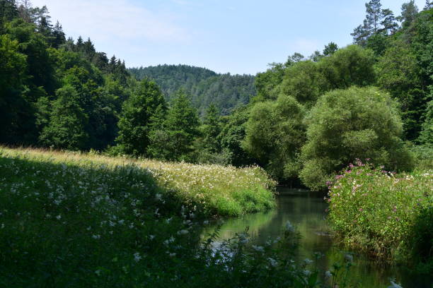 istock Beautiful landscape in Franconia 1330398193