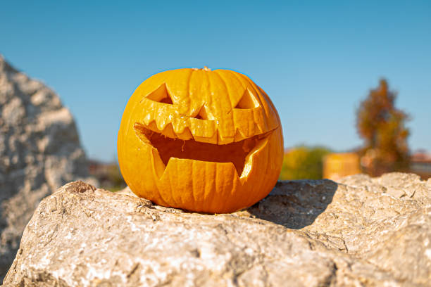 istock pumpkin for halloween on the rocks. a sunny day 1330403341