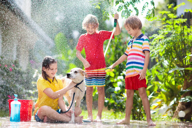i bambini lavano il cane in giardino estivo. divertimento con il tubo dell'acqua. - sibling baby three people baby girls foto e immagini stock
