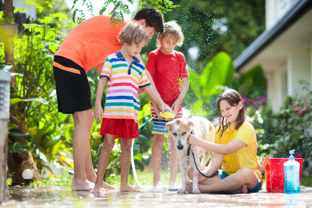 kids wash dog in summer garden. water hose fun. - 16019 imagens e fotografias de stock
