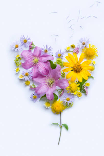 Flowers in shape of heart on white background