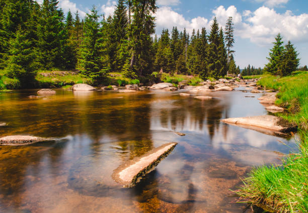 istock A beautiful mountain river flowing through the Jizera Mountains in Poland. 1330410494