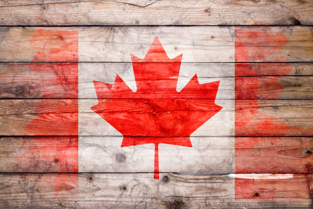 Art brush watercolor painting of Canadian flag blown in the wind isolated on white background.