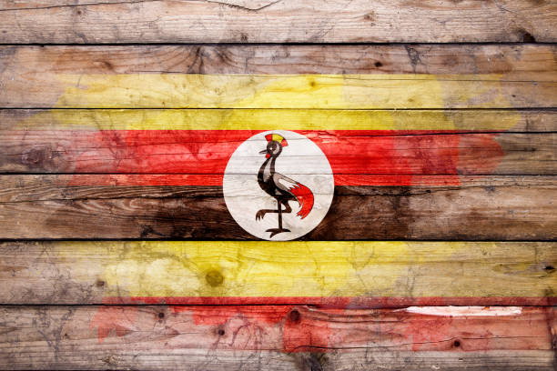 Flag of Uganda watercolor painted on a old wooden boards. Grunge flags texture. Background concept. Full color. Horizontal orientation. Faded effect.