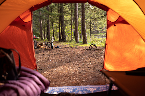 A view from a camping scene of looking out through the door of a tent.  The focus is on the forest of the campsite outside of the tent.