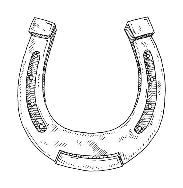 hufeisen. vintage schraffur monochrom schwarze illustration - horseshoe stock-grafiken, -clipart, -cartoons und -symbole