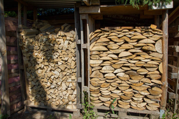 istock Pile of firewood 1330418254