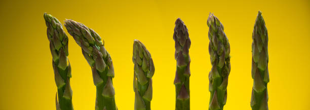 Asparagus
