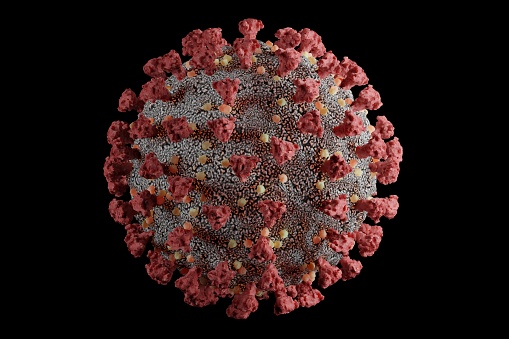 Modelo 3D detallado y científicamente preciso del virus SARS-CoV-2 a resolución atómica photo