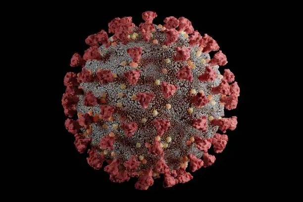 Photo of Detailed and scientifically accurate 3D model of the SARS-CoV-2 virus at atomic resolution