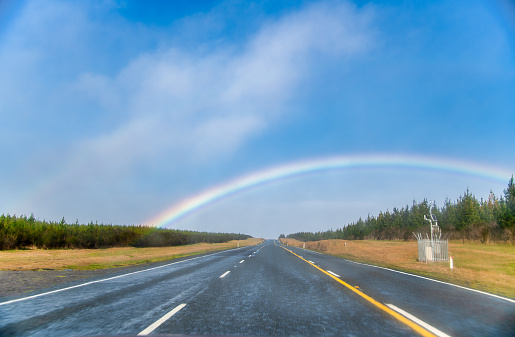 Beautiful road of New Zealand in spring with rainbow, North Island