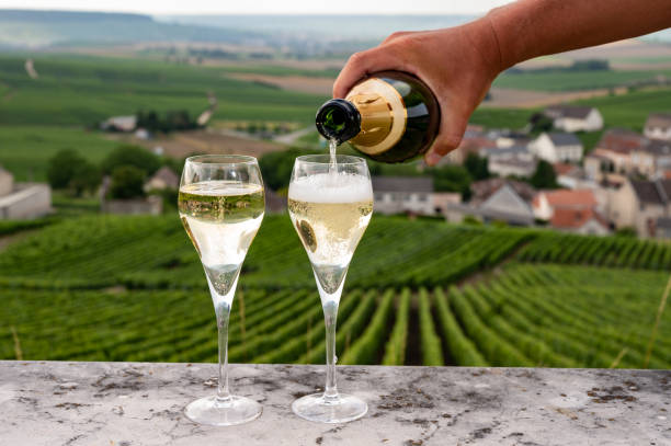 degustazione di spumante di champagne bianco brut e demi-sec da speciali bicchieri da flauto con vigneti di champagne sullo sfondo vicino a cramant, francia - champagne foto e immagini stock