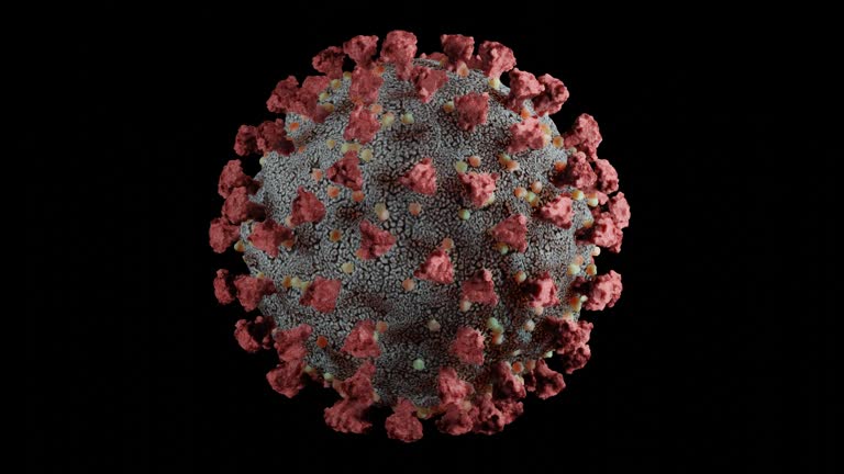 Detailed and scientifically accurate 3D model of the SARS-CoV-2 virus at atomic resolution, loopable