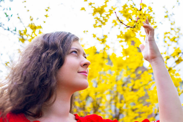 felice ragazza womman cercando toccante forsythia giallo pianta arbusto cespuglio fiori petali che fioriscono in primavera in virginia in giardino - goiter foto e immagini stock