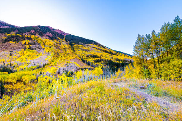 maroon bells area with view from road of vibrant yellow foliage aspen trees in colorado rocky mountains autumn fall peak - aspen highlands imagens e fotografias de stock