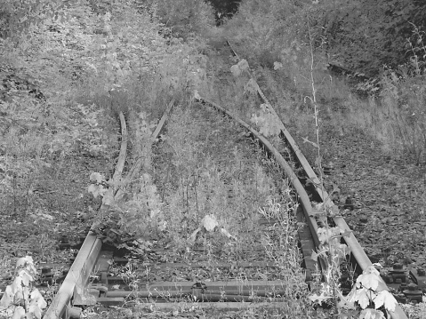 A Depiction of an old, deactivated railroad line from an equally deactivated industrial park on  an undisclosed area of Dusseldorf, Germany and shot in early June, 2021