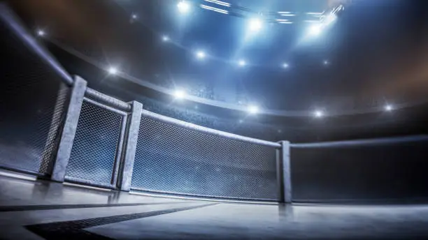 Photo of MMA cage. Side scene view under lights. Fighting Championship. Fight night. MMA octagon. 3D rendering