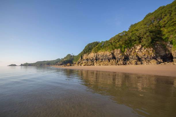 istock Treelined clifftops reflecting in the sea 1330438464