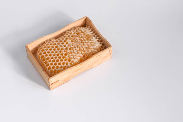 istock honeycomb with bee honey in a wooden box 1330439888