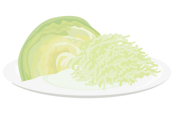 An illustration of half a cabbage on a plate and some shredded cabbage. An illustration of half a cabbage on a plate and some shredded cabbage. cabbage stock illustrations