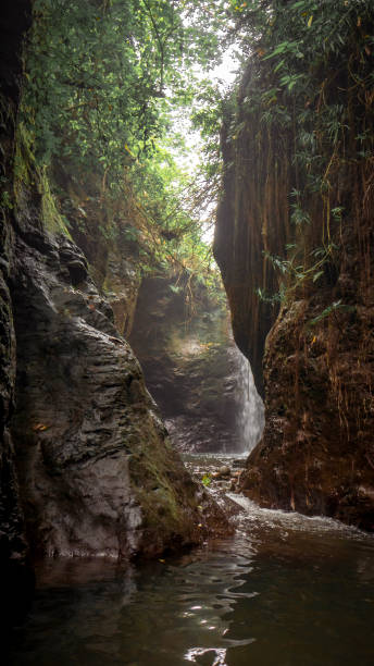 istock Portrait of hidden waterfall tropical forest 1330442389