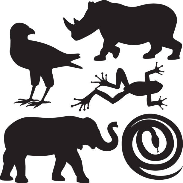 蛇 横顔 イラスト素材 Istock 蛇 横顔 イラスト素材 Istock