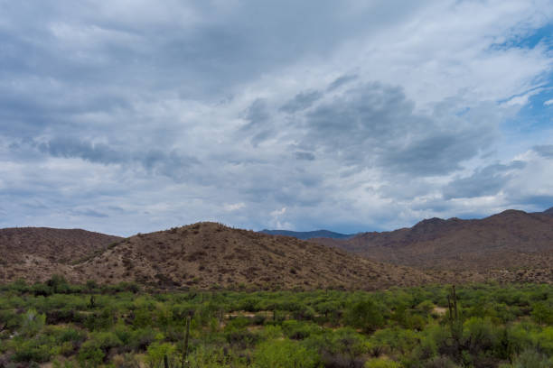 Panoramic view of a road in a desert New Mexico