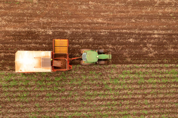 istock Potato harvest Tasmania 1330456575