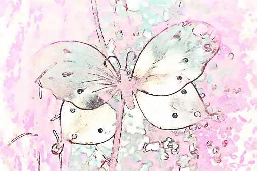 This is my Photographic Image of a Butterfly Toy in a Watercolour Effect. Because sometimes you might want a more illustrative image for an organic look.