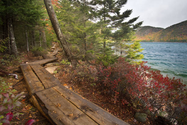 istock Jordan Pond Trail - Acadia National Park 1330462159