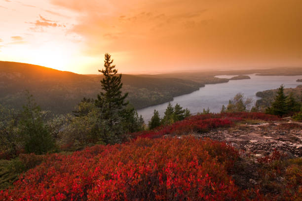 parque nacional acadia - maine - maine fotografías e imágenes de stock