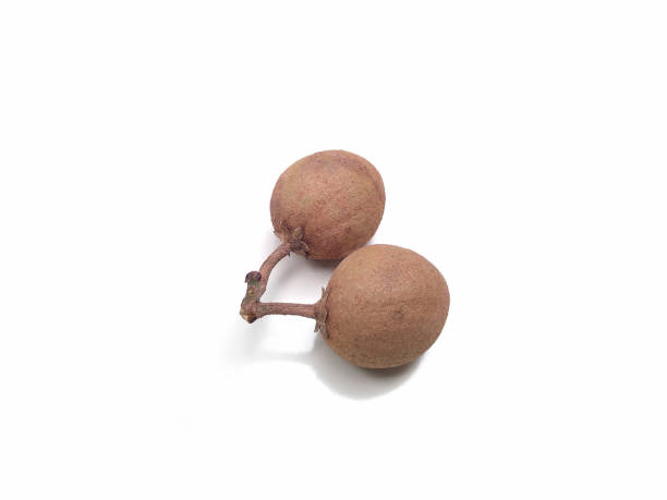 Manilkara zapota or sapodilla (sapota) fruit isolated on white background