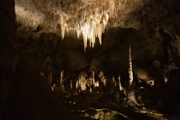 istock Carlsbad Caverns National Park New Mexico 1330473878