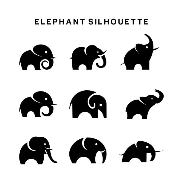 логотип слона набор векторный силуэт символа на белом фоне - elephant animal isolated white background stock illustrations