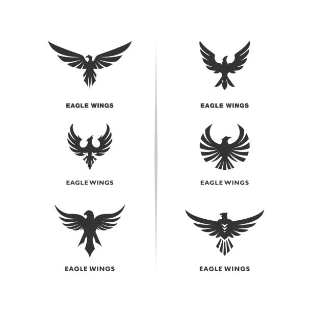 zestaw eagle logo design vector. szablon koncepcji projektowych eagle logo design. symbol ikony - phoenix tattoo bird wing stock illustrations