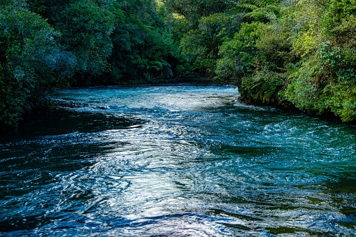 Kaituna River north of Rotorua township is a popular river used for whitewater rafting and kayaking.